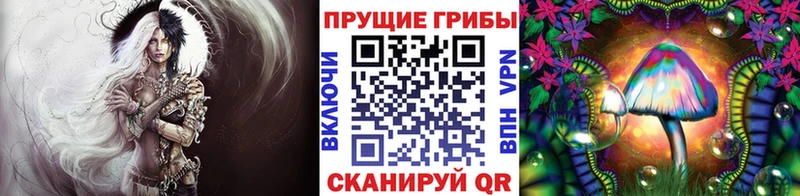 купить закладку Североуральск Галлюциногенные грибы прущие грибы