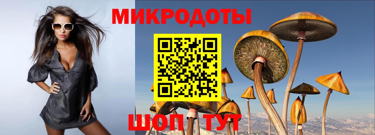 закладка  Галлюциногенные грибы Psilocybine cubensis  Вход с VPN  Североуральск 