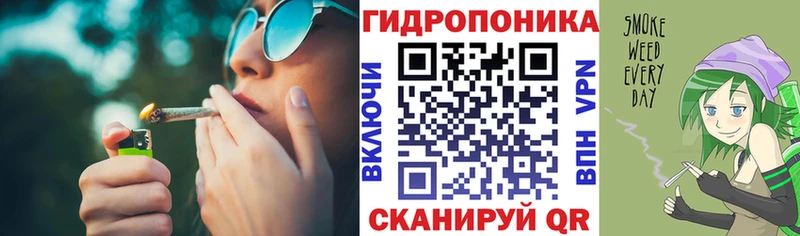 площадка клад дарнет шоп Североуральск Шишки марихуана сатива